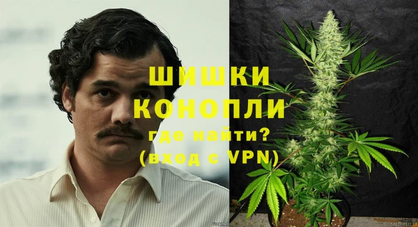 гидра Володарск