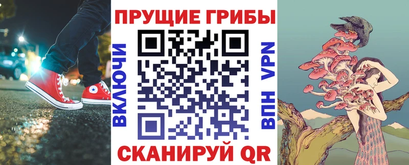 Псилоцибиновые грибы мухоморы  даркнет Telegram  Дубовка  цены наркотик 